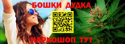 сатива Беслан