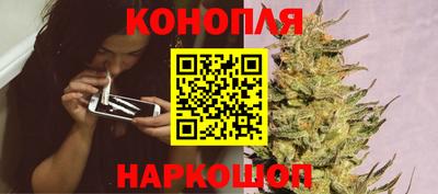 тгк Бийск