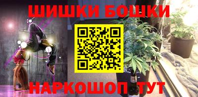тгк Бийск
