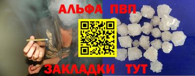 тгк Бийск