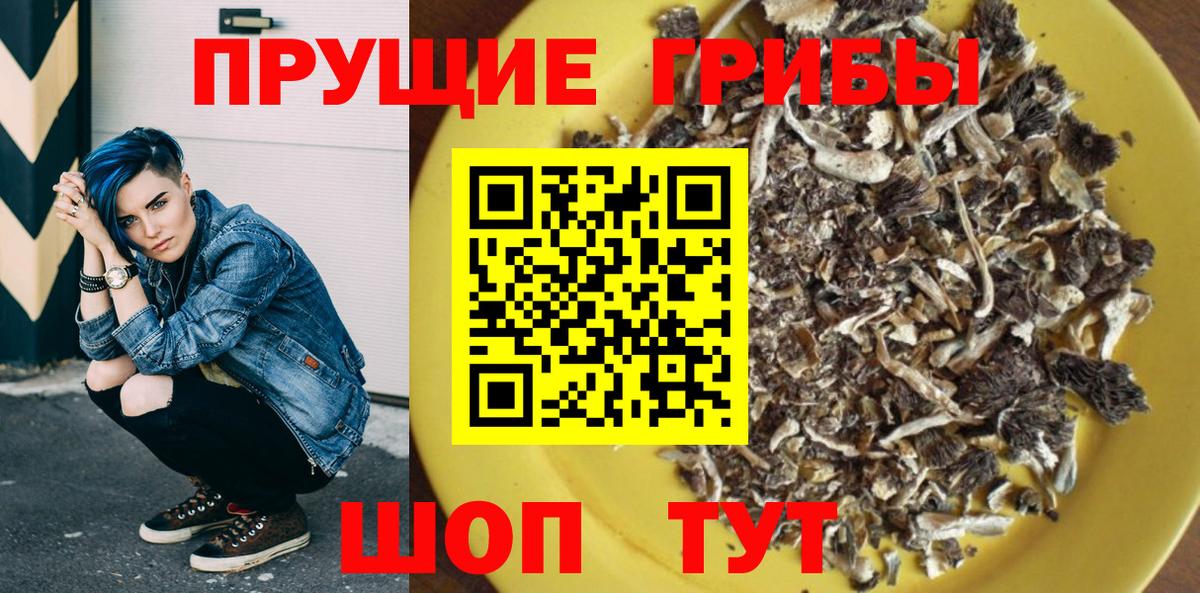 Галлюциногенные грибы мицелий  Вход с VPN  Домодедово  Галлюциногенные грибы Cubensis 