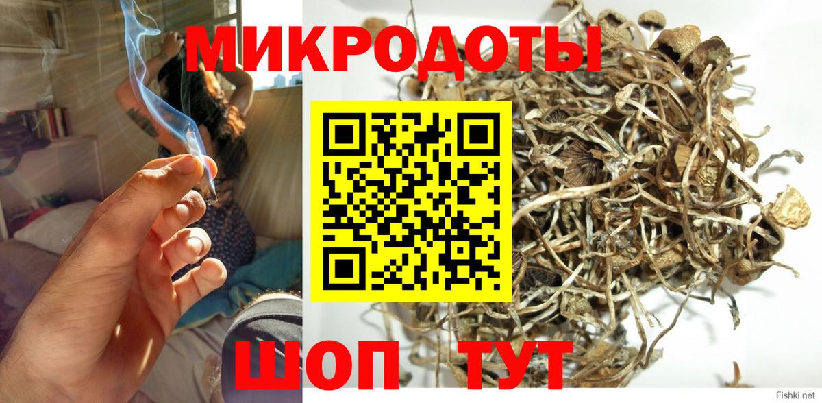 Псилоцибиновые грибы мицелий Домодедово