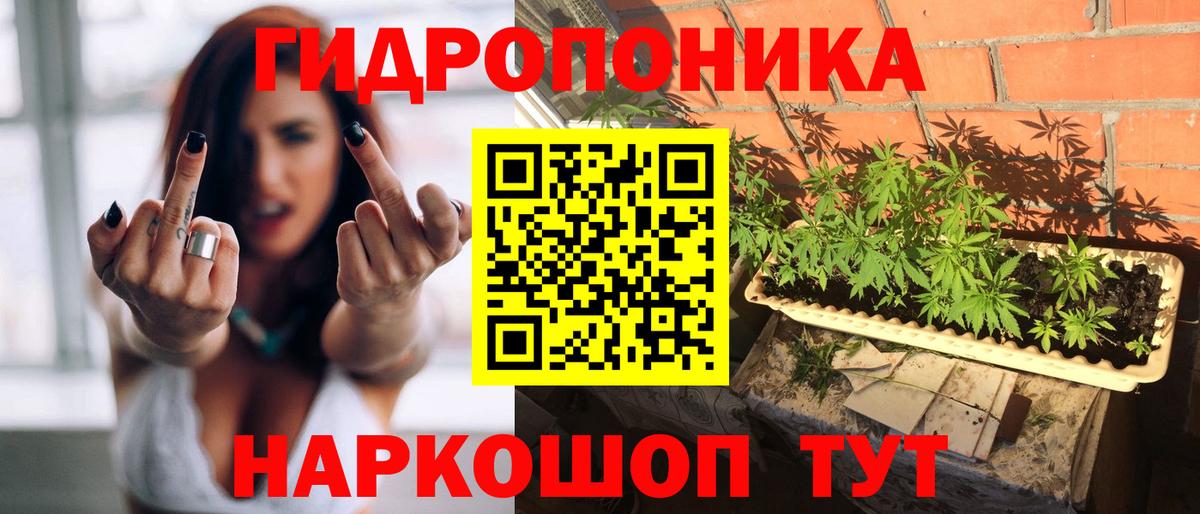 Бошки марихуана тримм  Бошки марихуана гибрид  Канабис White Widow  Бошки марихуана OG Kush  Вход с VPN  Домодедово 